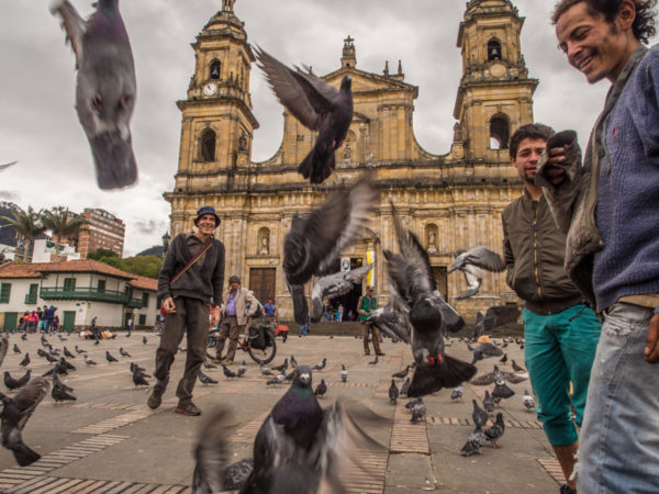 Gołębie na głównym placu w Bogocie, Plaza de Armas