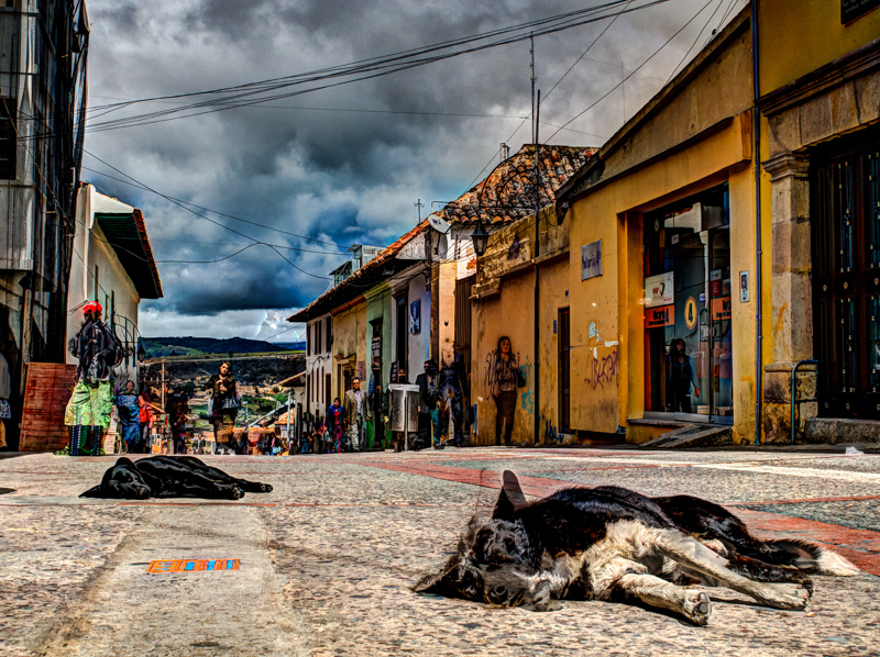 Psy śpiące na ulicach Tunja, podróż Kolumbia