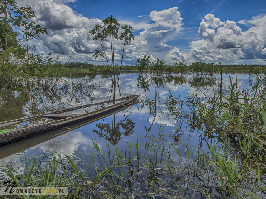 Wycieczka do dżungli amazońskiej, widok na rzekę