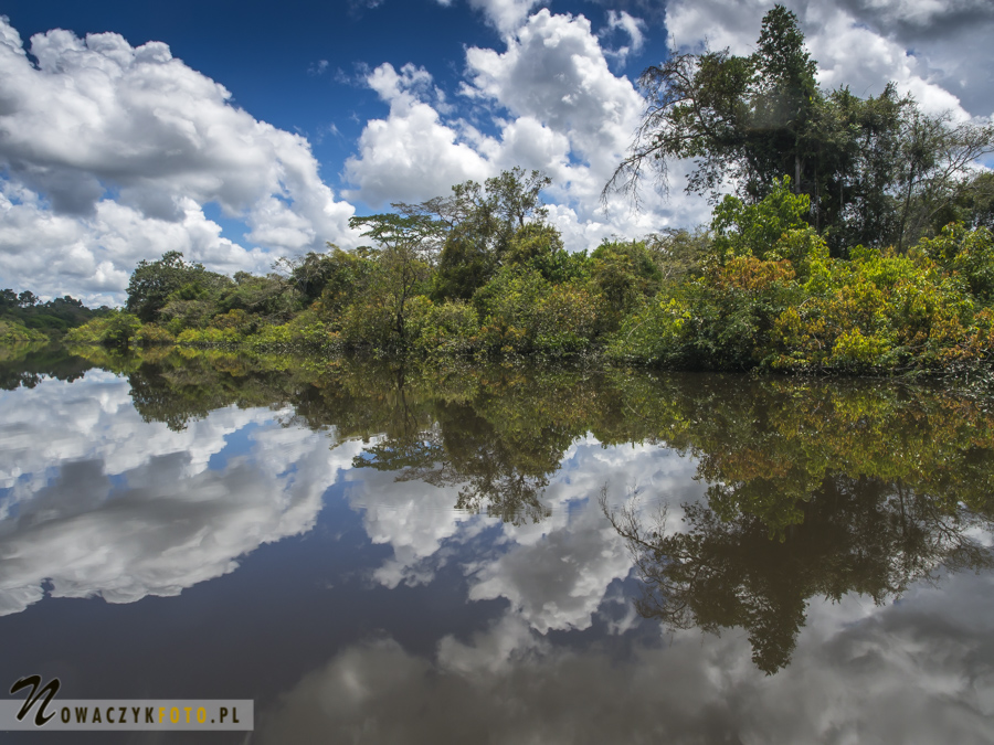 Dżungla Amazońska, widok na rzekę