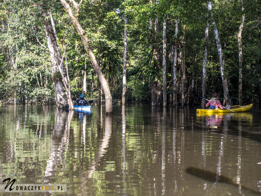 Dżungla Amazońska, pływanie na kajakach