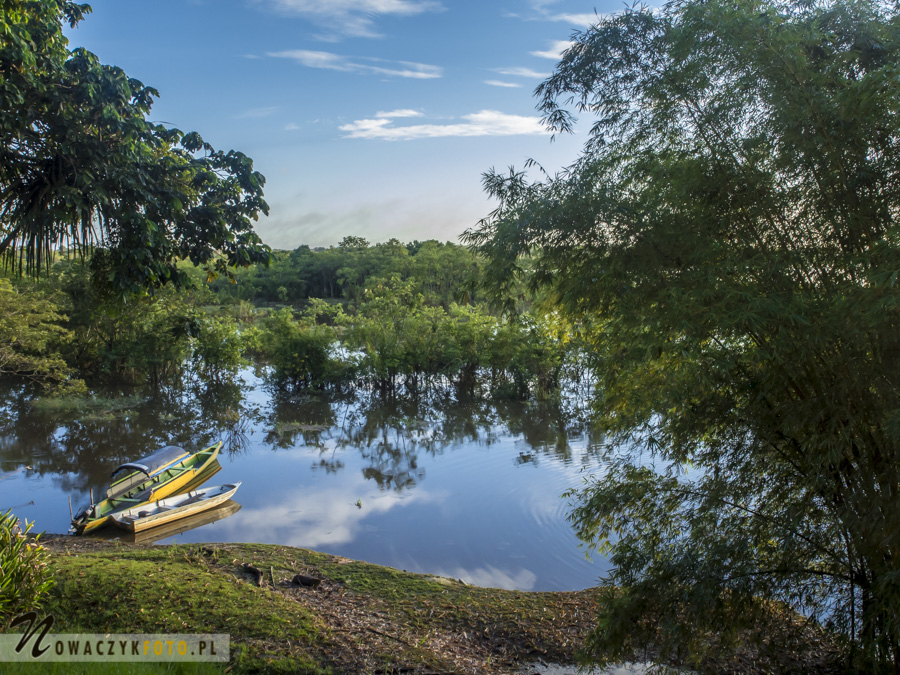 Widok na wodę i łódki w dżungli amazońskiej
