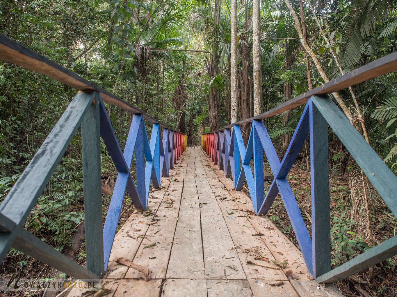 Drewniany most prowadzący przez dżunglę